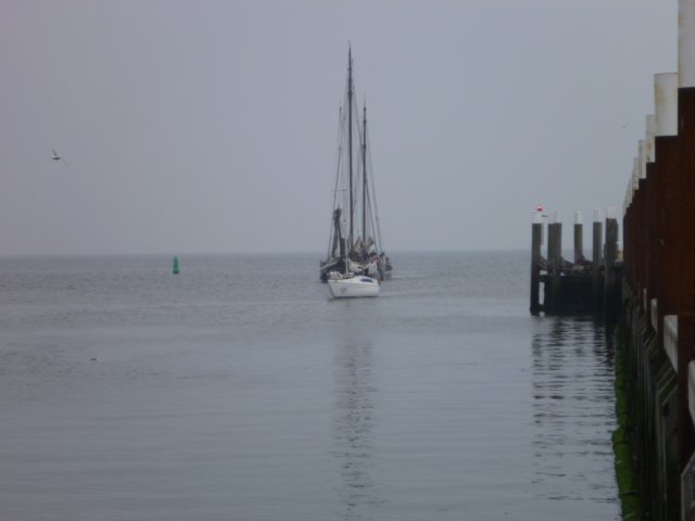 2011 Zeilen046.jpg